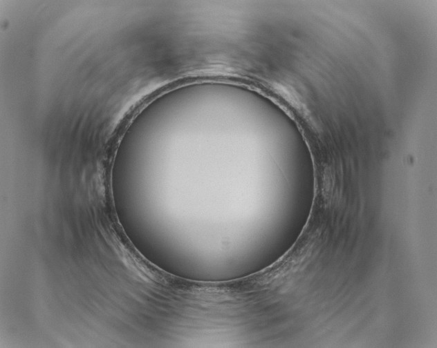 X0000088361356200706121045