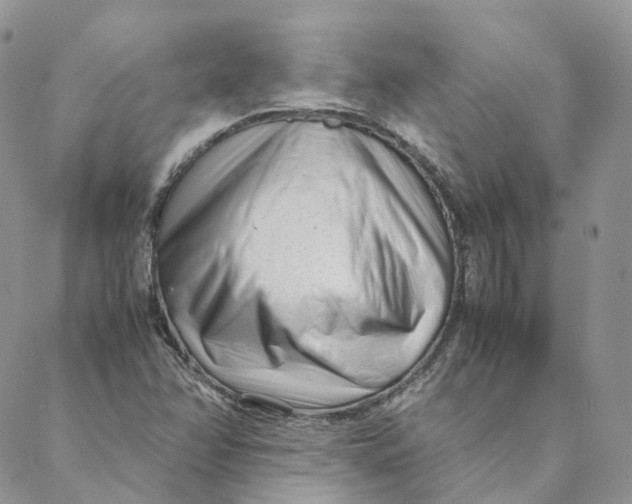 X0000088361358200706121045