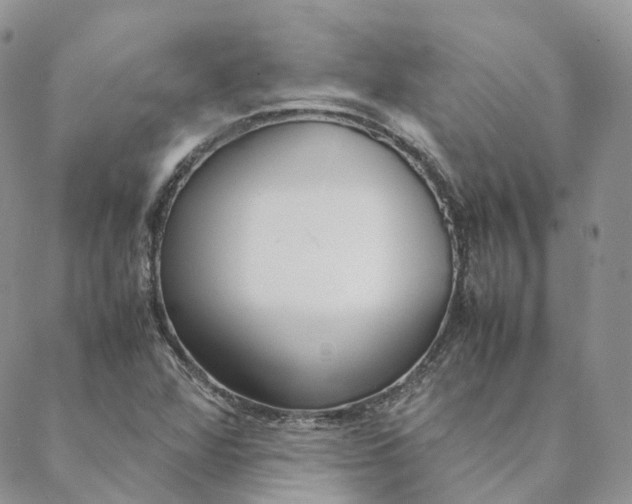 X0000088361360200706121044