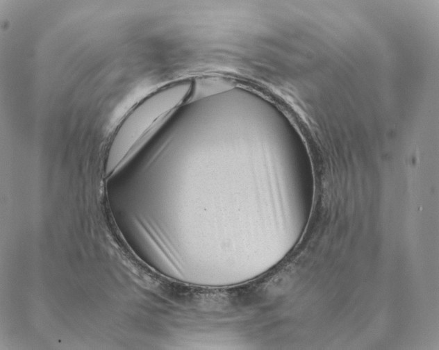 X0000088361363200706121044