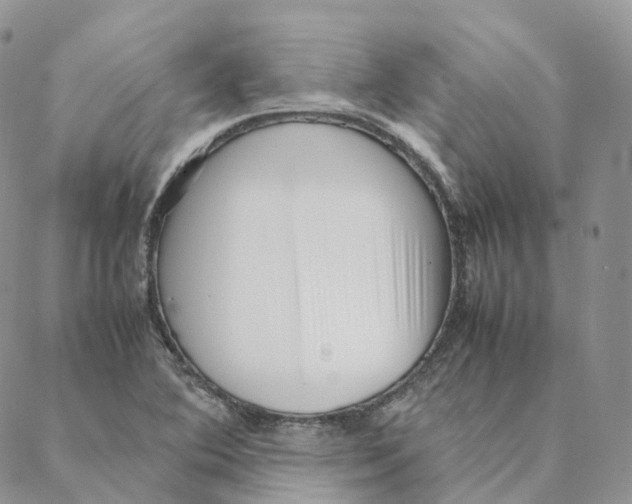 X0000088361364200706121044