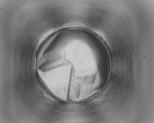 X0000088361366200706121044