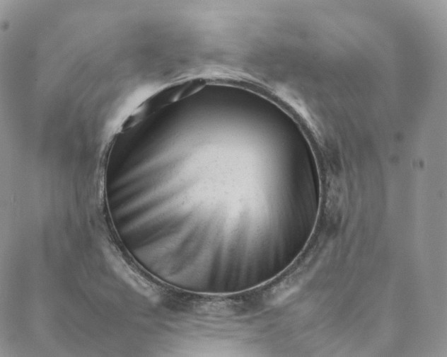 X0000088361367200706121044