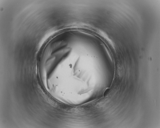 X0000088361368200706121044