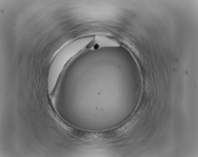 X0000088361369200706121044