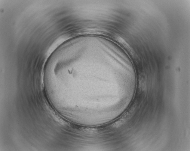 X0000088361370200706121044