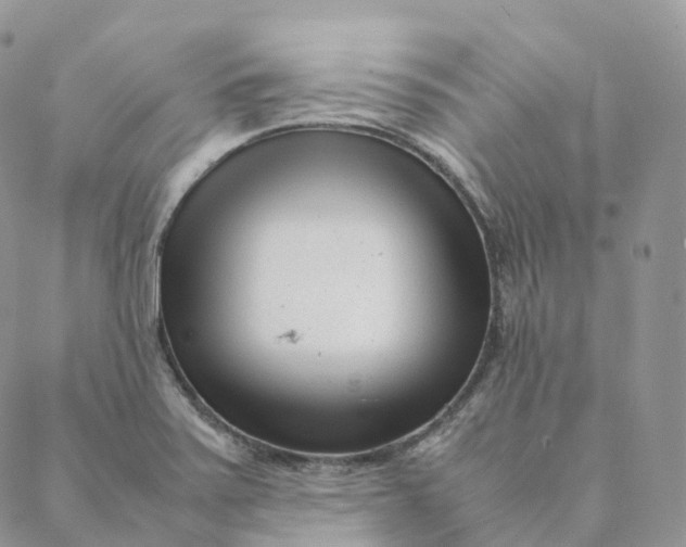 X0000088361371200706121044