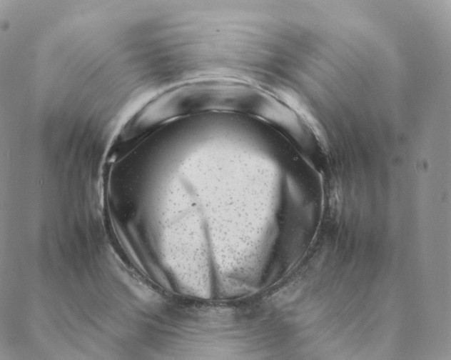 X0000088361372200706121044