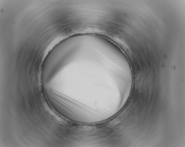 X0000088361374200706121044