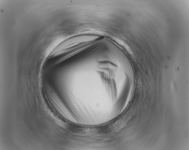 X0000088361375200706121044