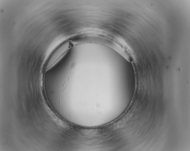 X0000088361376200706121044