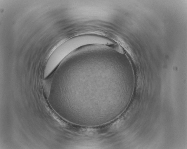 X0000088361377200706121044