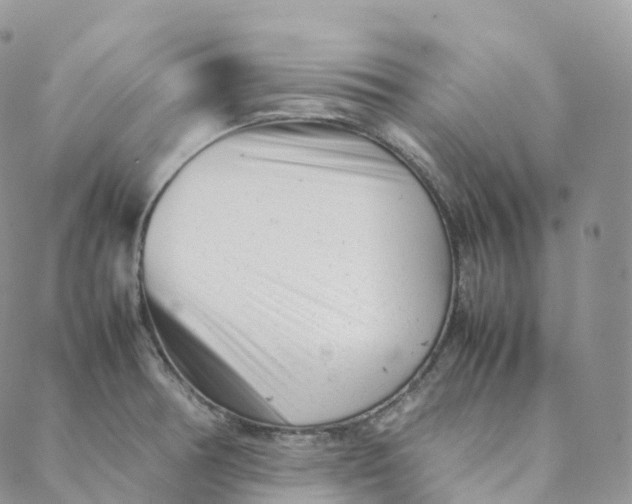 X0000088361378200706121044