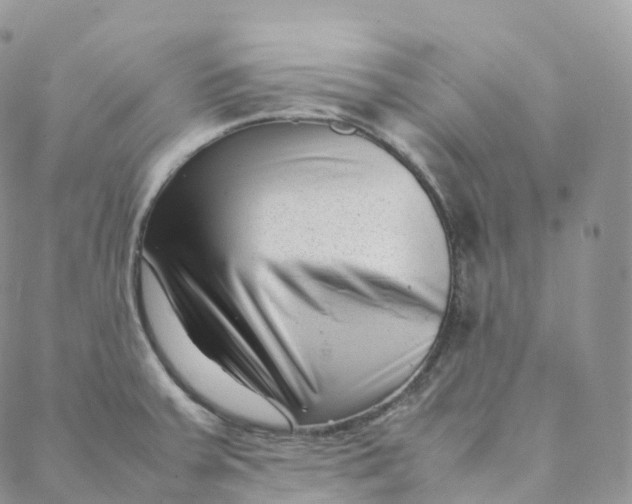 X0000088361379200706121044