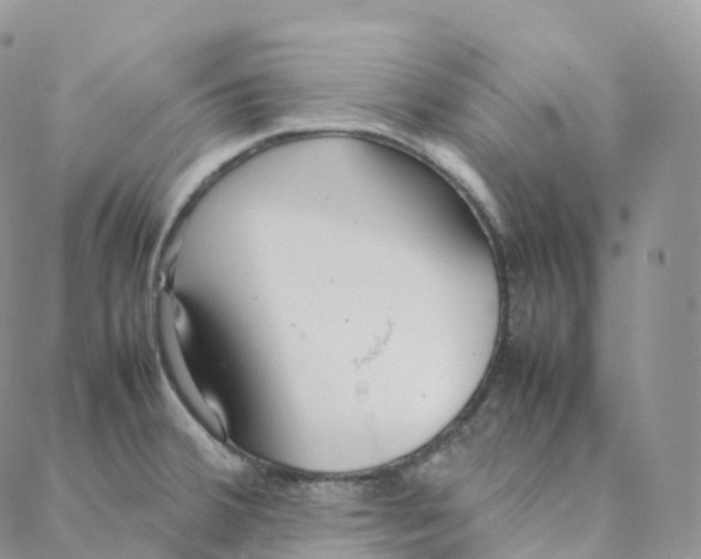 X0000088361380200706121044