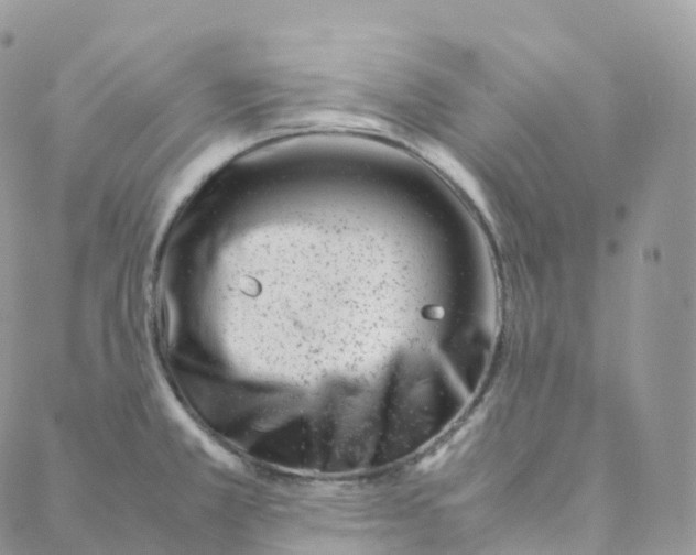 X0000088361381200706121044