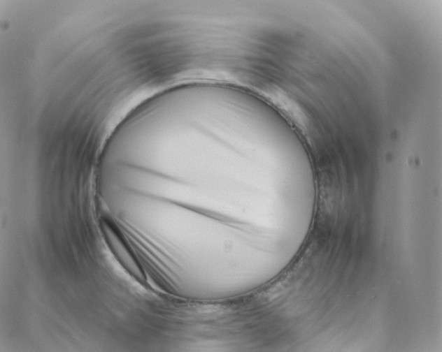 X0000088361382200706121044