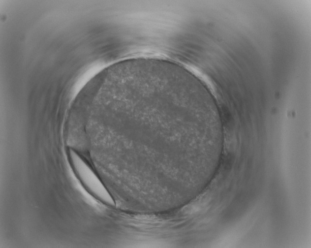 X0000088361383200706121044