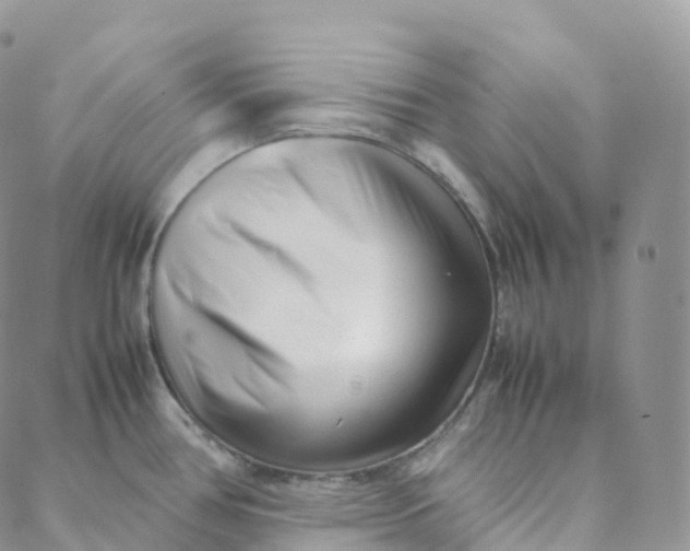 X0000088361386200706121044