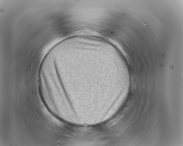 X0000088361387200706121044