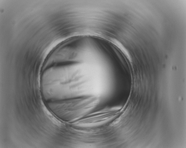 X0000088361388200706121044