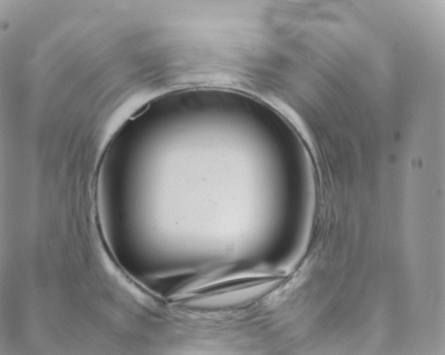 X0000088361389200706121044