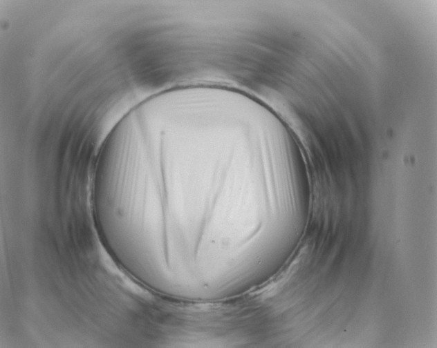 X0000088361390200706121044