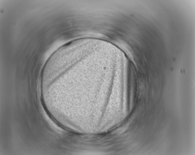 X0000088361391200706121044