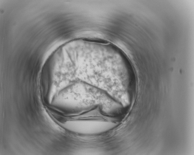 X0000088361392200706121044