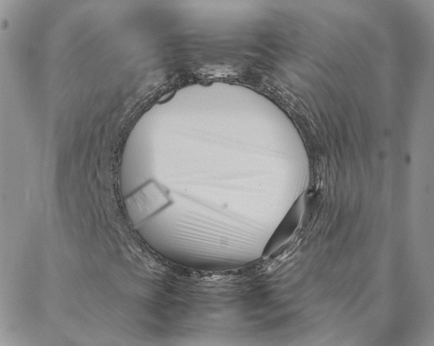 X0000088361393200706121043