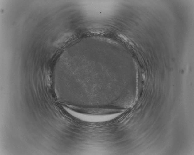 X0000088361394200706121043