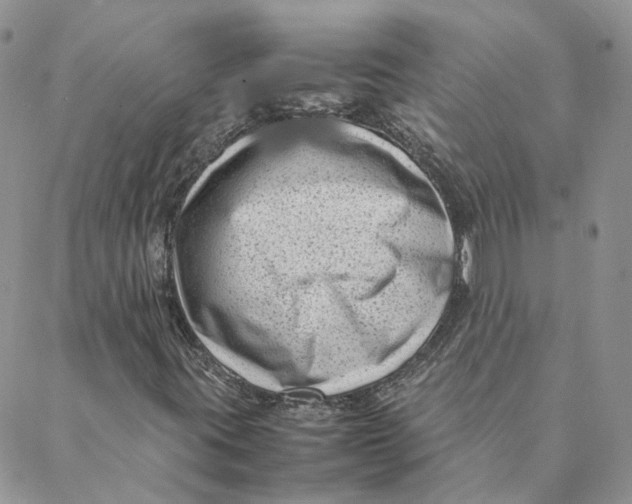 X0000088361395200706121043