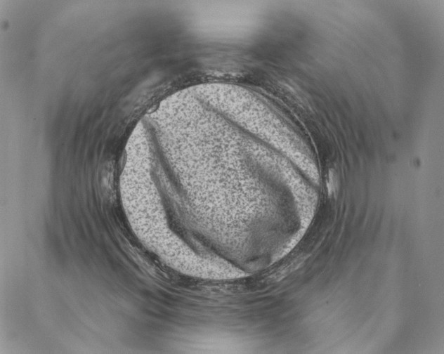 X0000088361396200706121043