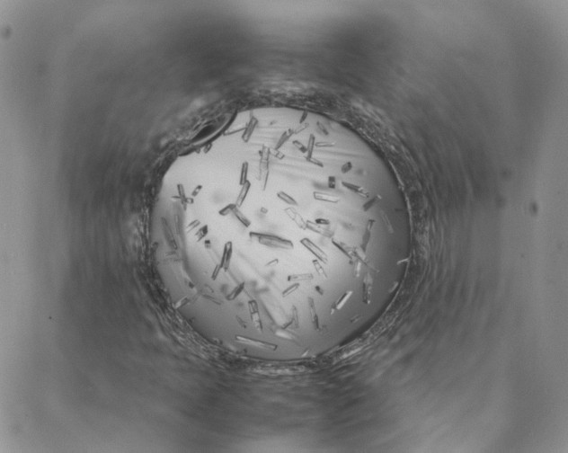 X0000088361397200706121043