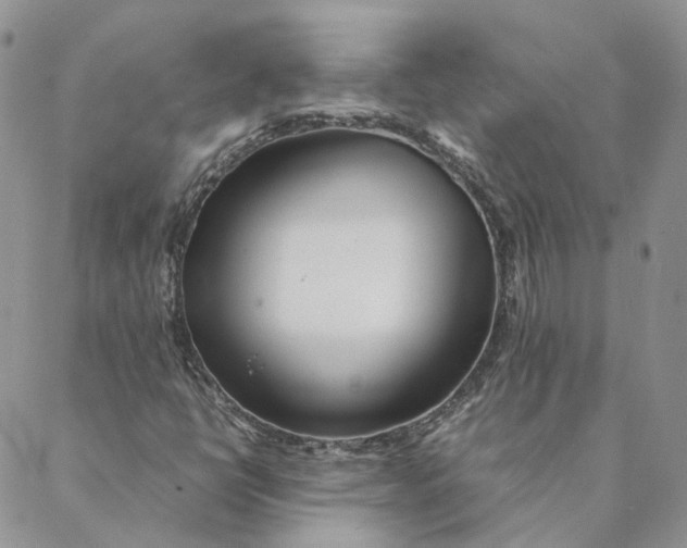 X0000088361398200706121043