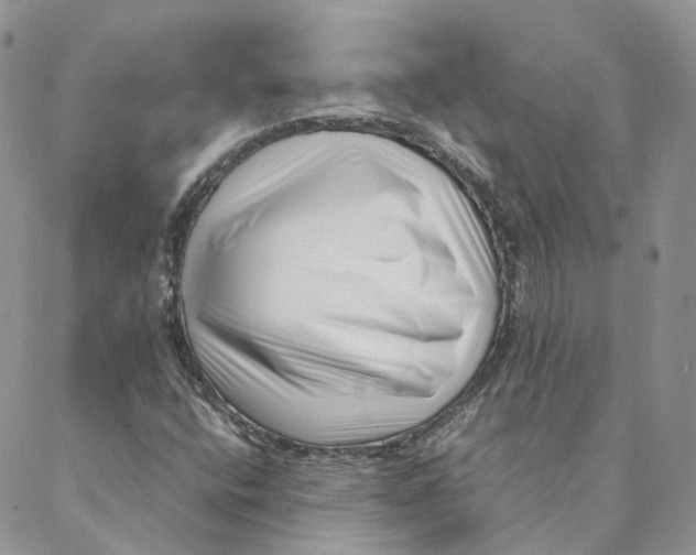 X0000088361400200706121043