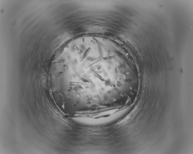 X0000088361401200706121043