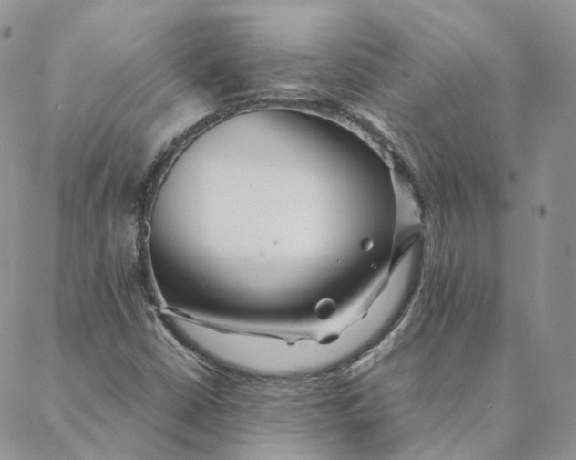 X0000088361402200706121043