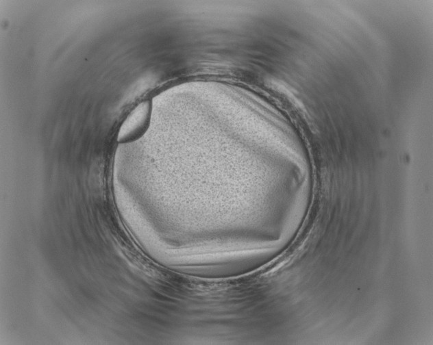 X0000088361403200706121043