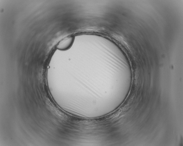 X0000088361404200706121043