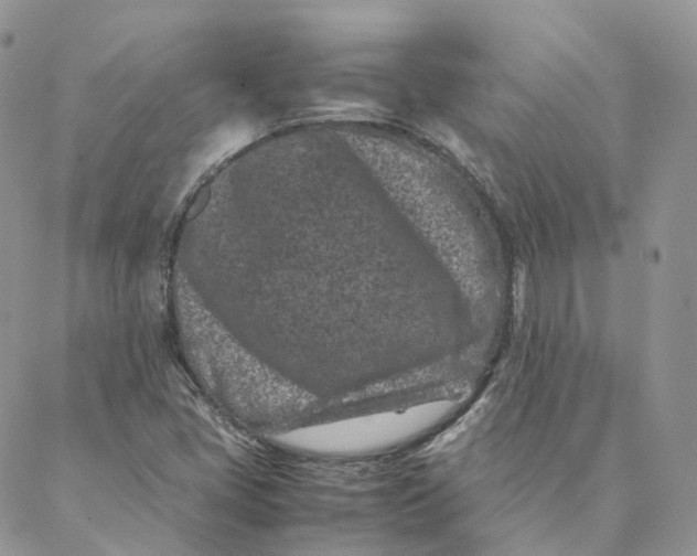 X0000088361405200706121043