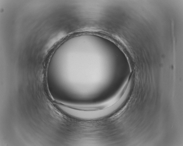 X0000088361406200706121043