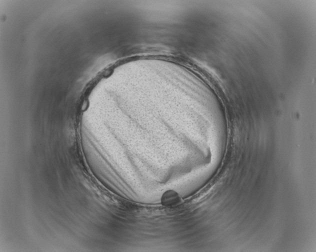 X0000088361407200706121043