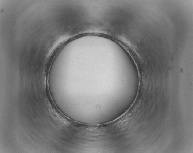 X0000088361408200706121043