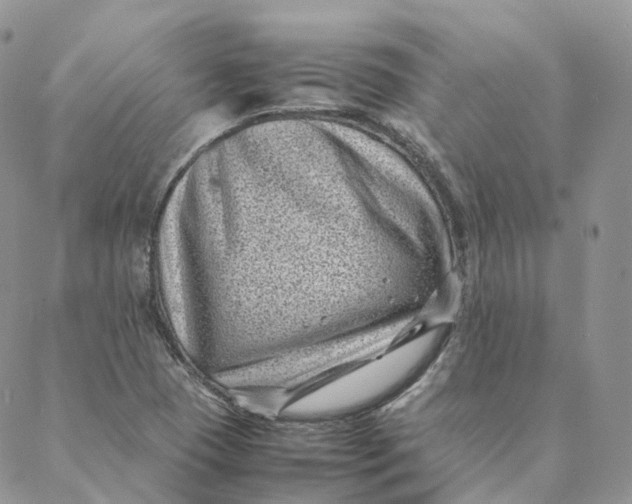 X0000088361409200706121043