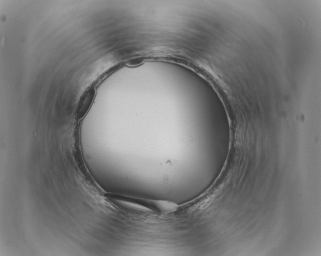 X0000088361410200706121043