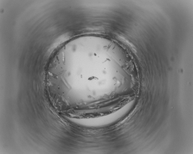 X0000088361411200706121043