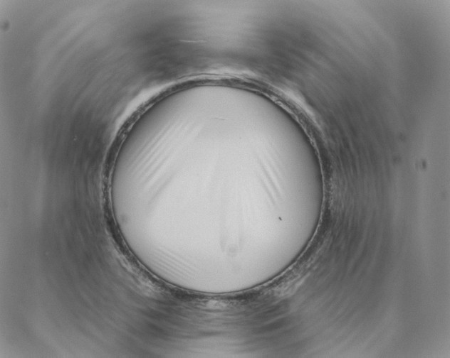 X0000088361412200706121043