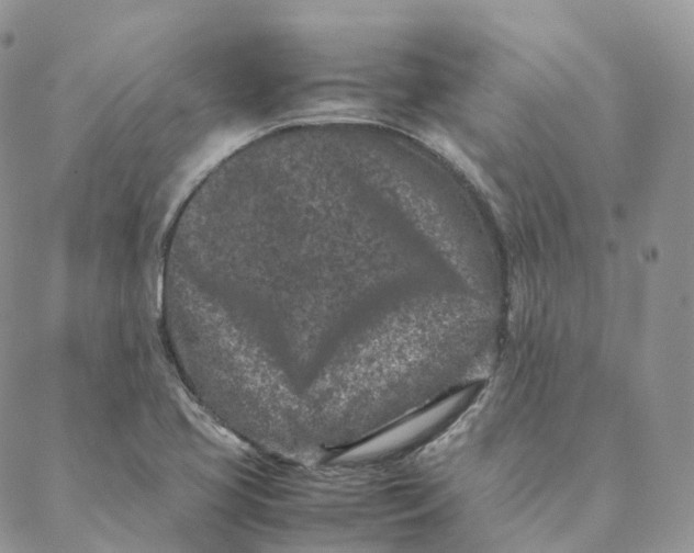 X0000088361413200706121043