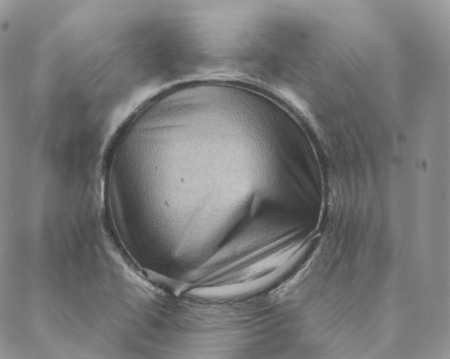 X0000088361414200706121044